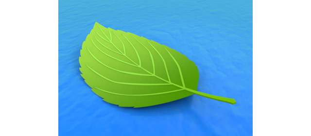 湖｜葉｜自然 | 環境・自然・エネルギー・災害 - エネルギー / 地球 / 自然 / 環境 / 写真 / イラスト / フリー素材 / ダウンロード