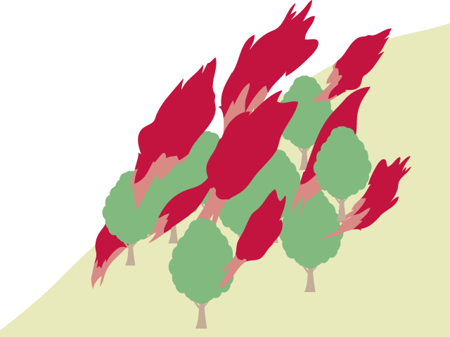 山火事 | 災害 | 森林火災 | 環境 | 自然 | エネルギー | 災害 - 汚染/工場/環境/地球/自然/きれい/イラスト/無料/クリップアート