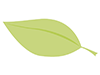 葉 | 黄緑 | 環境・自然・エネルギー・災害 - 環境・自然・エネルギー｜フリーイラスト